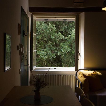 La Finestra Sul Parco Apartment Lucca Exterior photo
